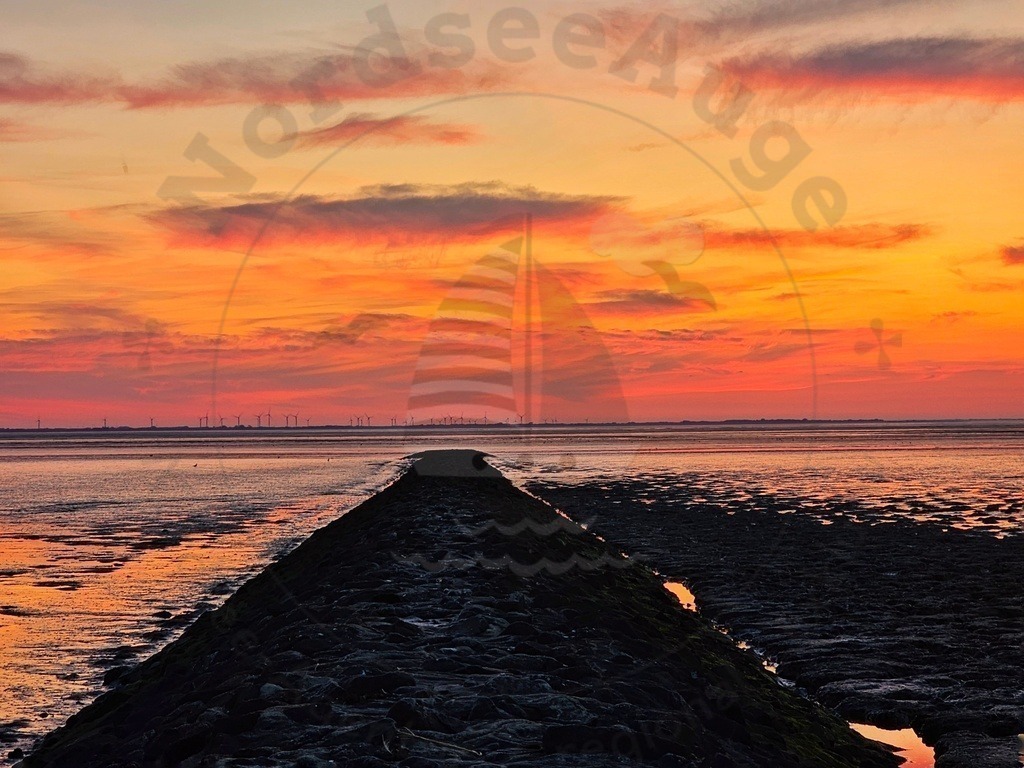 20230915_200229-01 | Nordseeauge Onlineshop Nordseebilder Nordseeshop Nordseefotos Nordseeurlaub Nordseeerleben Nordseemomente UrlaubfuerzuHause Meerbilder Strandurlaub Acrylglasbilder Leinwandbilder Nordseekleidung Nordeefanartikel Nordseegeschenke Geschenkeshop - Realisiert mit Pictrs.com