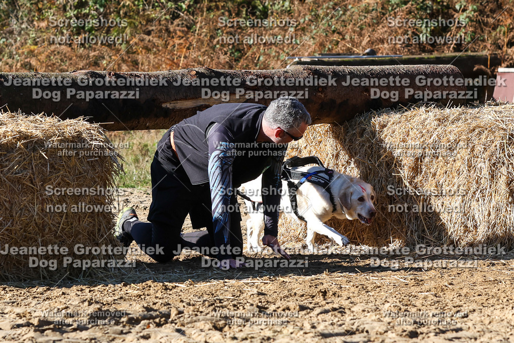 Dog Paparazzi - Strongdog 10-25-2433 | Dog Paparazzi Jeanette Grottendiek Fotografie & Videografie - Realisiert mit Pictrs.com