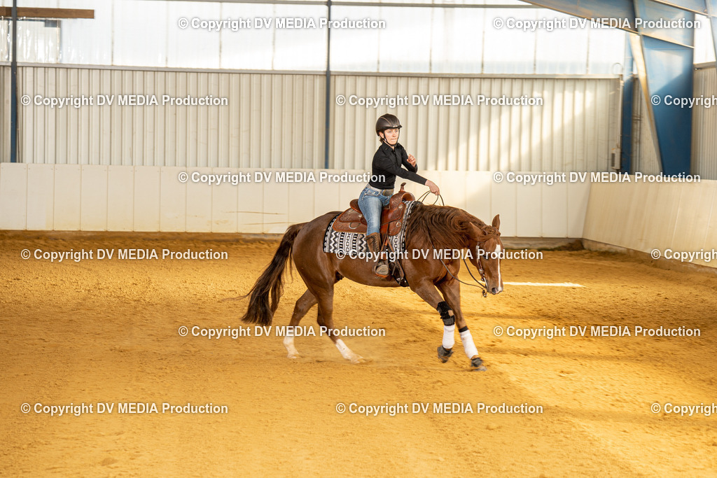 MIT00813 | dv-media-shop - Realisiert mit Pictrs.com