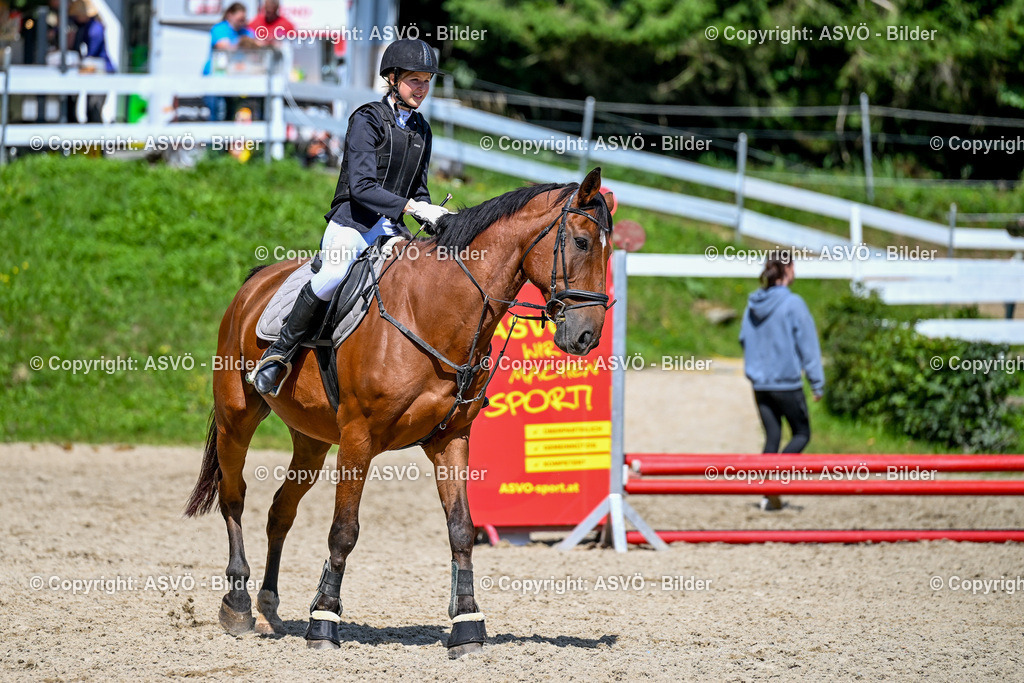 ASVÖ_ Reiten Bezirksmeisterschaft_ 24.08.2025-90 | 24.08.2025, AUT, ASVÖ, Reiten Bezirksmeisterschaft 2025Dressur und Springreiten©fodo.media / Harald Dostal - Realisiert mit Pictrs.com