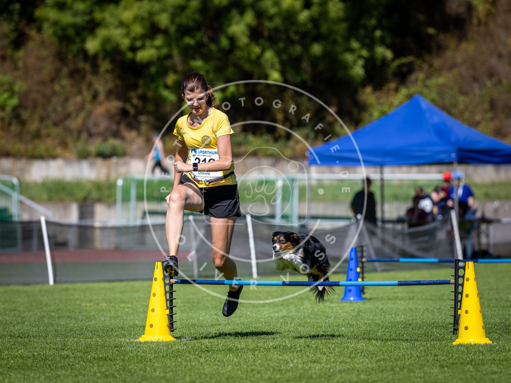 Pfotenfotografie_DV3A5311 | Hundefotografie, Tierfotograf, Pfotenfotografie, Fotoshooting Hund, Hunde Portrait, Hundesport, Hundeportraits, Heideshooting, Hunde, Sportfotograf, Hundefotograf, Turnierhundsport, THS,  - Realisiert mit Pictrs.com
