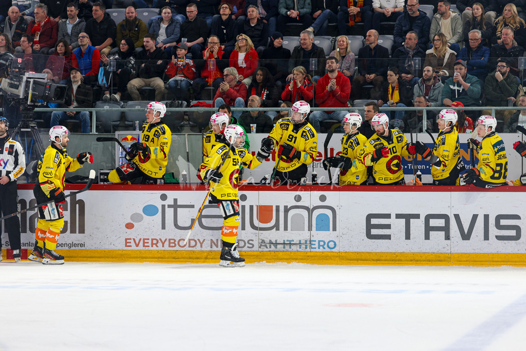 EHCB vs SCB 20260312_wb-4281 | Sportbilder, Sportfotograf, Hochzeits- und Eventfotografin, Flugshows, Portraits und Tiershooting, Aviation, Downhill, Nationalleague, Swissleague, International