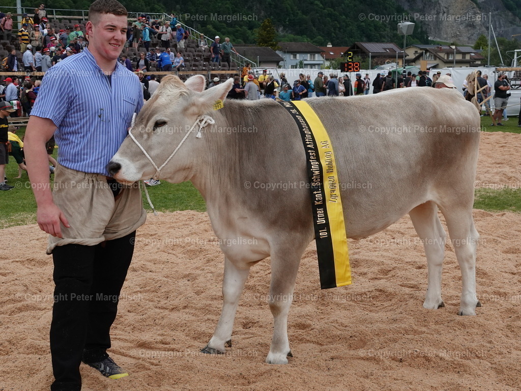 DSC07519 | Schwingen - Realisiert mit Pictrs.com
