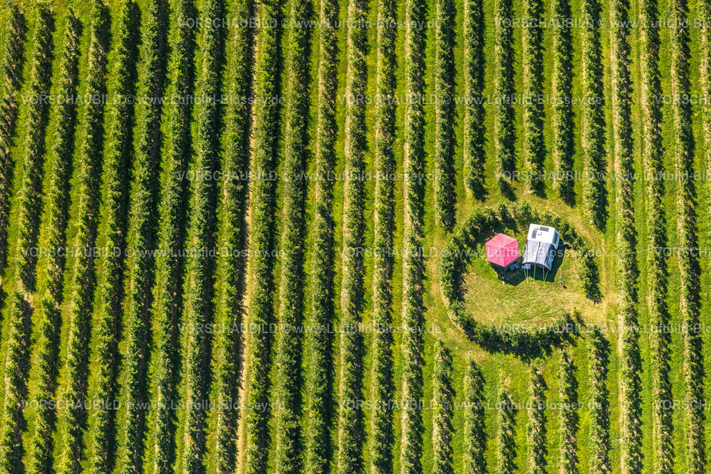 Dortmund220704119 | Luftbild, Mini Camping mit Sonnenschirm und Wohnwagen im Feld, Hof Mertin, Hostedde, Dortmund, Ruhrgebiet, Nordrhein-Westfalen, Deutschland