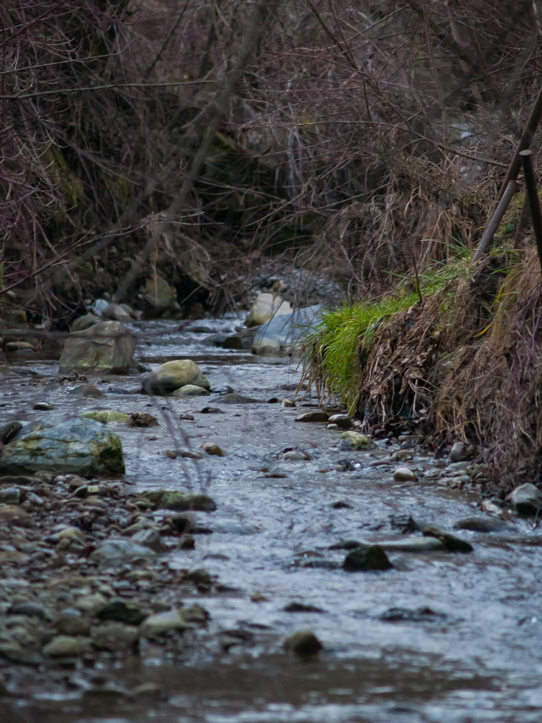 PSX_20230108_223525 | OLYMPUS DIGITAL CAMERA - Realisiert mit Pictrs.com