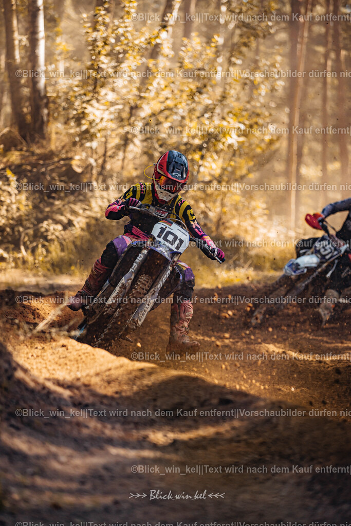 E68A3196 | blick_win_kel