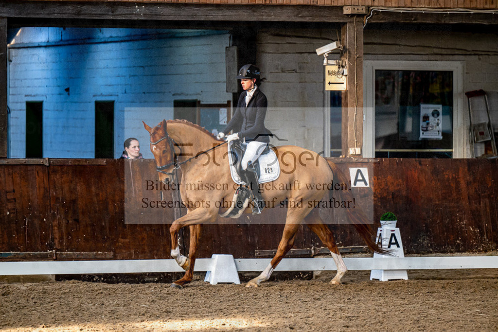 20240308-DOS_4710 | Entdecke hochwertige Reitturnierfotos von Foto Oger. Professionell, emotional und authentisch – jetzt Lieblingsmomente im Shop bestellen.Deutschlandweite Turnierfotografie. - Realisiert mit Pictrs.com