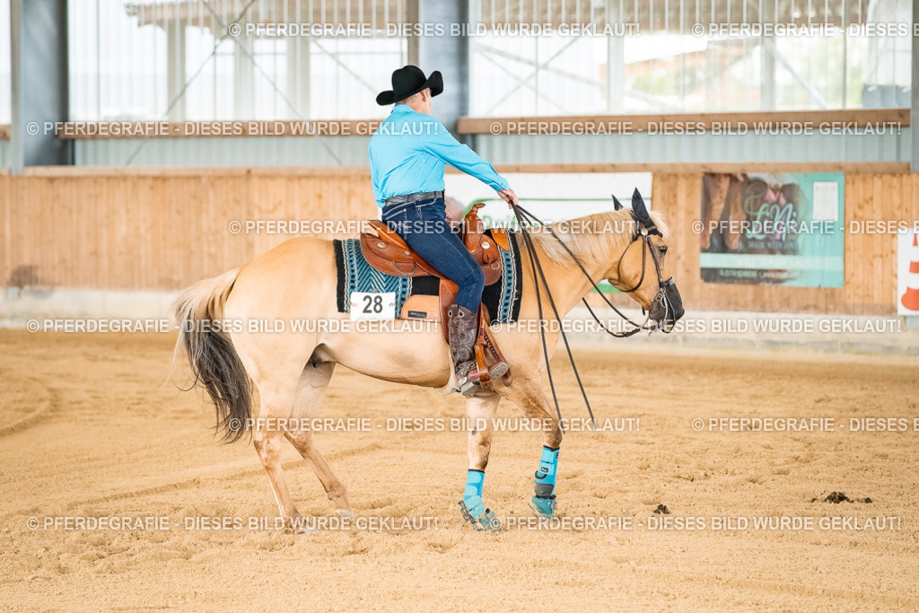 DSC02234 | Pferdegrafie