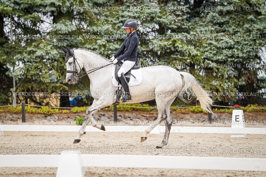 DSC07768 | Pferdegrafie