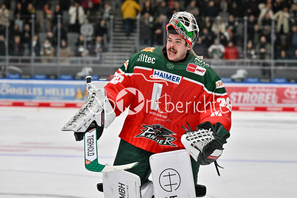 Augsburger Panther - Düsseldorfer EG | Die Panther feiern mit den Fans den Heimsieg gegen Duesseldorf / Jubel / Sieg / Freude / Happy / DEL: Augsburger Panther - Düsseldorfer EG, Curt Frenzel Stadion am 13.12.2024 / Strauss MANN (Augsburger Panther #38)