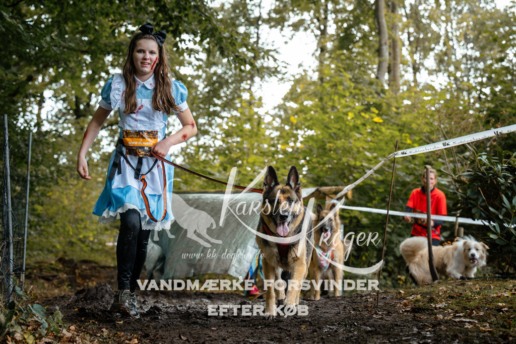 1431DZ6_2677Z6 | kk-dogfotos