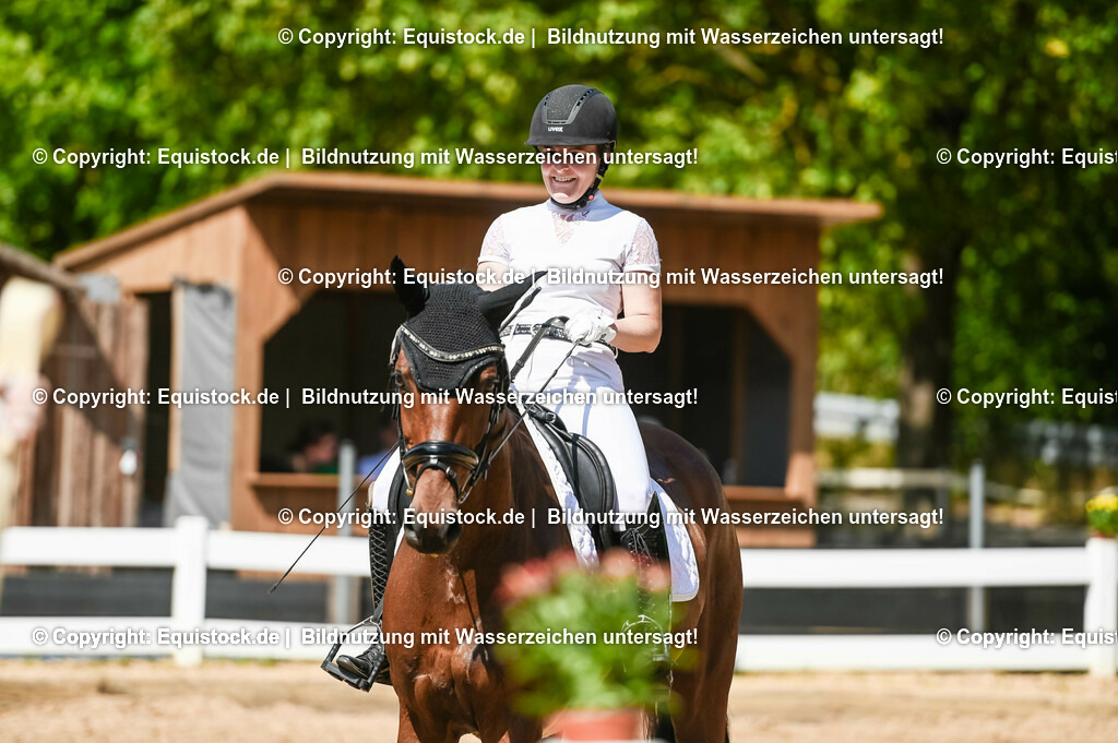 20230715_02_Dressurreiterprüfung Kl.L_0225 | equistock