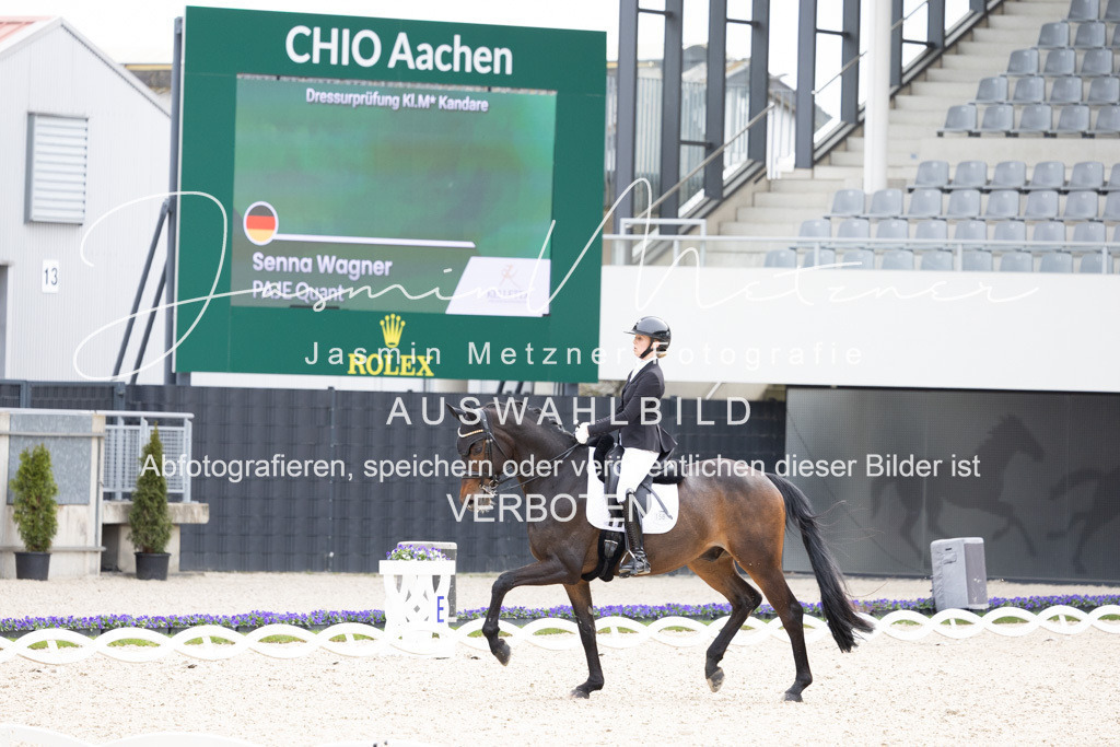 126A5695 | jasminmetznerfotografie