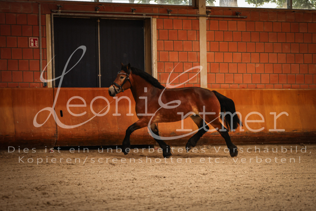 SaFL00042 | Leoni Ertmer Photography - Realisiert mit Pictrs.com