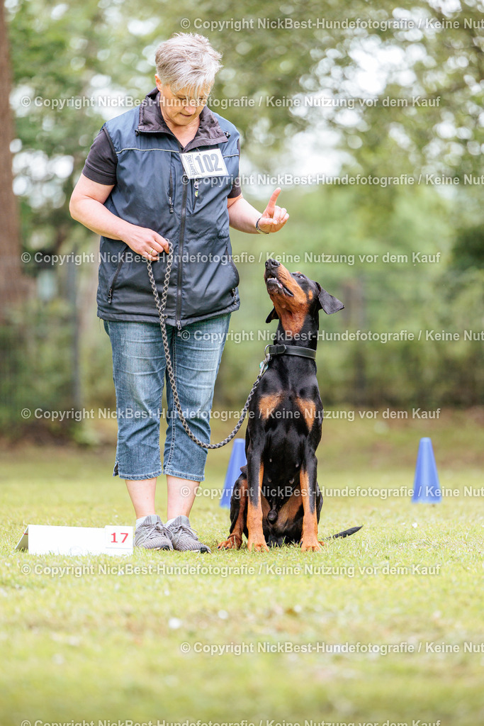 RO-Blumenthal-2026-Nickbest-Hundefotografie-5290 | Dein Hund! Dein Moment! Deine Erinnerungen! Hundefotografie in Bremen Blumenthal. Ich fange die besonderen Momente deines Vierbeiners ein – ob Indoor mit Blitzanlage oder in der freien Natur. Sicher dir dein Moment und dein Termin für eure Erinnerungen.