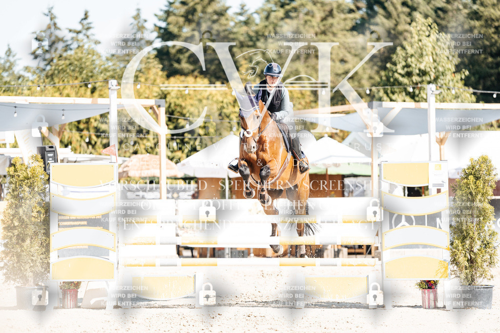 CK902328 | Turnierfotografie Pferdefotografie Trier Rheinland-Pfalz Pferdesport Reitsport Tierfotografie Sportfotografie Pferdevideo Pferdevideografie Equestrianvideography equestrianphotography  - Realisiert mit Pictrs.com