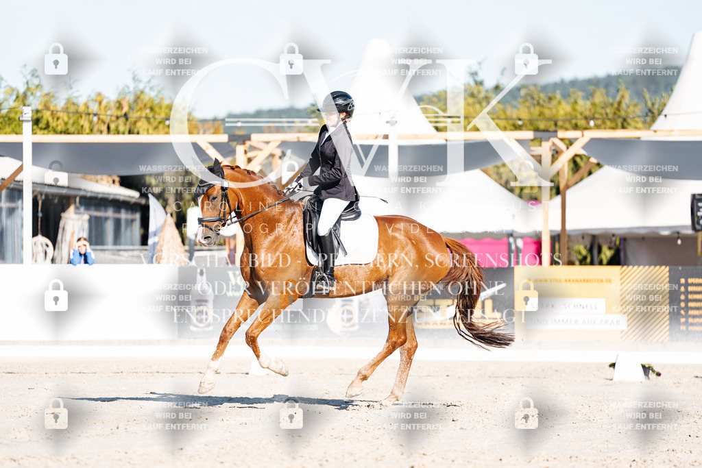 CK907202 | Turnierfotografie Pferdefotografie Trier Rheinland-Pfalz Pferdesport Reitsport Tierfotografie Sportfotografie Pferdevideo Pferdevideografie Equestrianvideography equestrianphotography  - Realisiert mit Pictrs.com