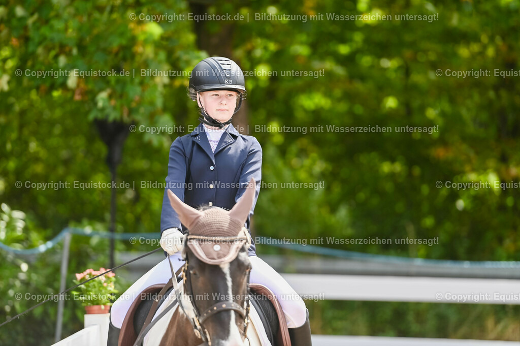 20230716_10-2_Reiter-WB Schritt - Trab - Galopp_0171 | equistock