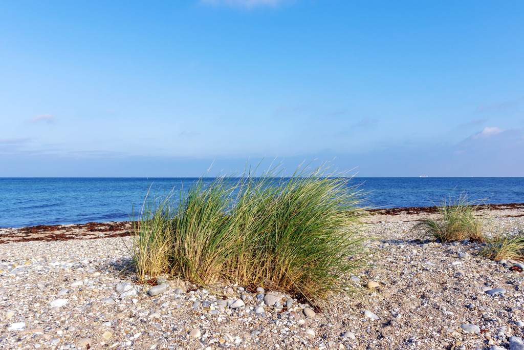 Wandbild: Schöner Naturstrand auf Fehmarn | Dieses Wandbild im Querformat zeigt einen malerischen Naturstrand. Auf dem Strand befindet sich Strandhafer. Der blaue Himmel ist fast wolkenlos.  - Realisiert mit Pictrs.com