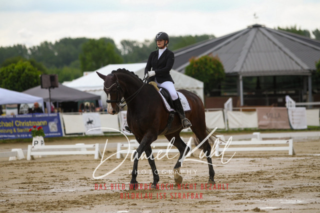 DKP40081 | Turniersportfotografie; Pferdefotografie; Dressurfotografie