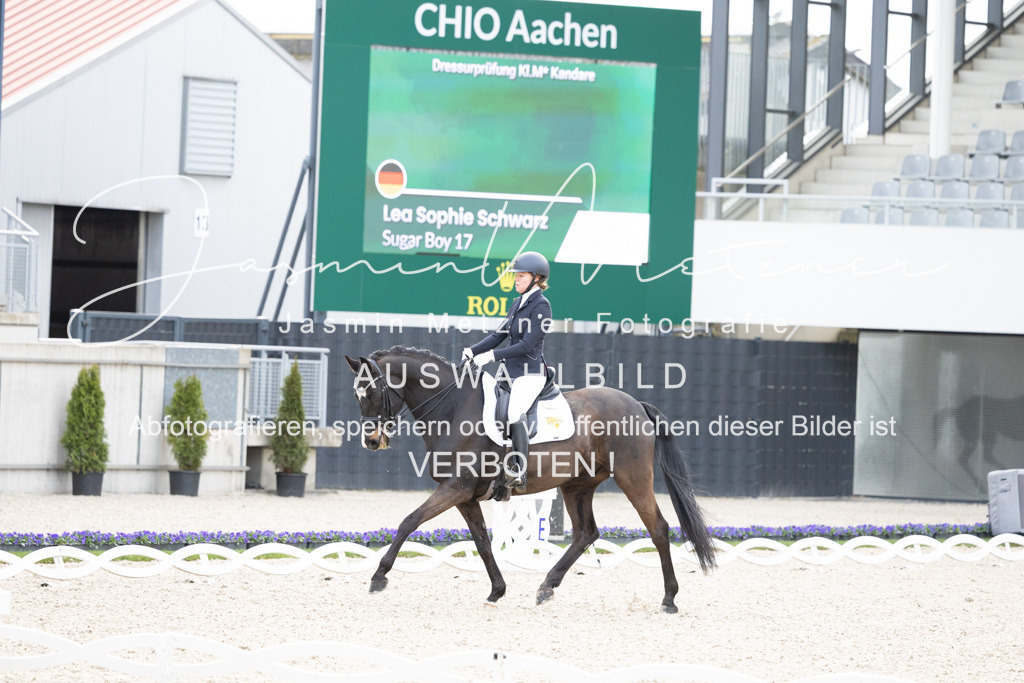 126A4720 | jasminmetznerfotografie