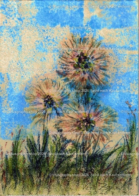Asterngruß Variation 02 | Zeichnung von Vera Zschecked exclusiv auf titusgraphy.eu - Realisiert mit Pictrs.com