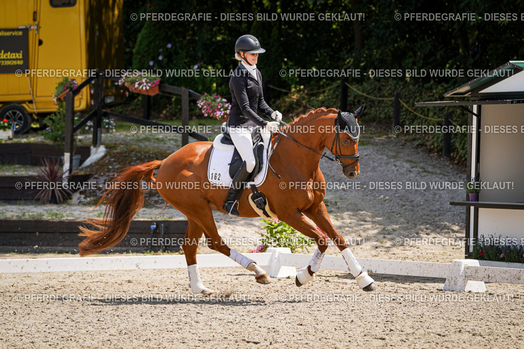 DSC01810 | Pferdegrafie