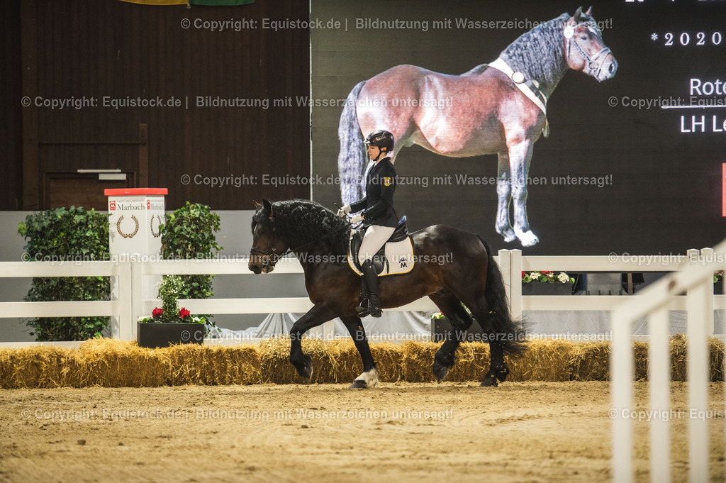 20240302_Hengstvorstellung_Marbach_TOMsPiC_0275 | equistock