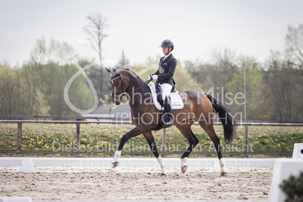 250416_Dressurpferde-L-214 | Deine schönsten Turniermomente als professionelle Fotos! Entdecke hochwertige Pferdesport-Fotografie im Online-Shop. Jetzt Fotos finden & bestellen!