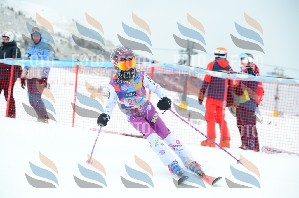 DSC_0777 | holidayphoto