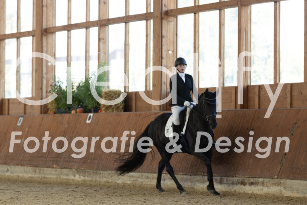 IMG_8865 | Creatify Fotografie