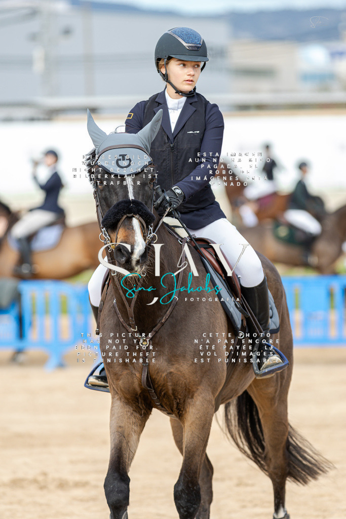 IMG_2684 | s-jay-photography - Realisiert mit Pictrs.com