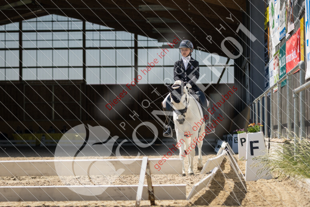 IMG_9915 | Hier findest Du viele Augenblicke aus den Bereichen der Turnier-, Sport- & Tierfotografie. Bilder mit deinem Liebling, Portrait-, Bewerbungs-, Businessbilder können ebenfalls schnell und einfach erstellt werden.