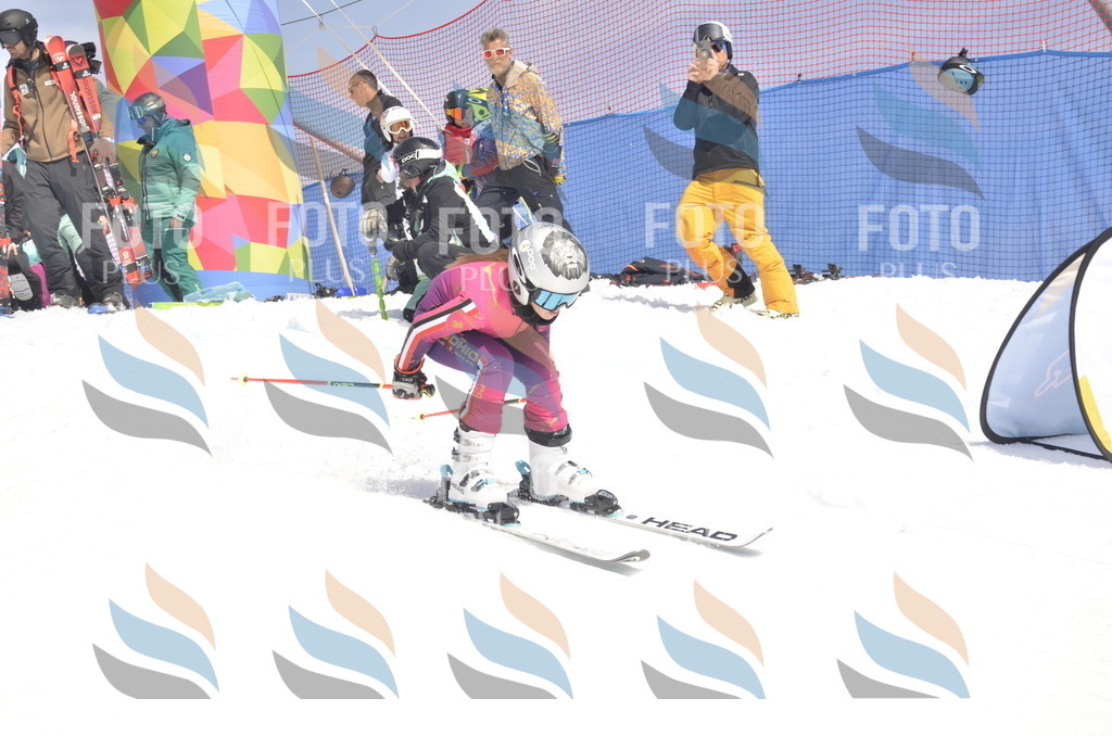 _ELE9356 | holidayphoto