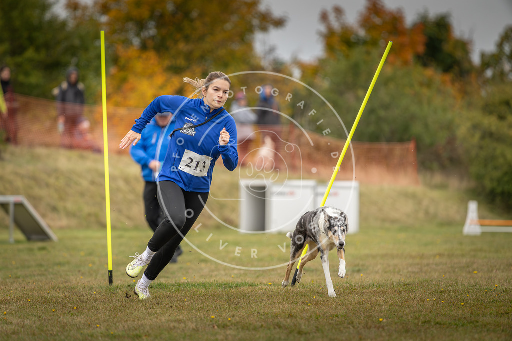 Pfotenfotografie_DV3A3408 | Hundefotografie, Tierfotograf, Pfotenfotografie, Fotoshooting Hund, Hunde Portrait, Hundesport, Hundeportraits, Heideshooting, Hunde, Sportfotograf, Hundefotograf, Turnierhundsport, THS,  - Realisiert mit Pictrs.com