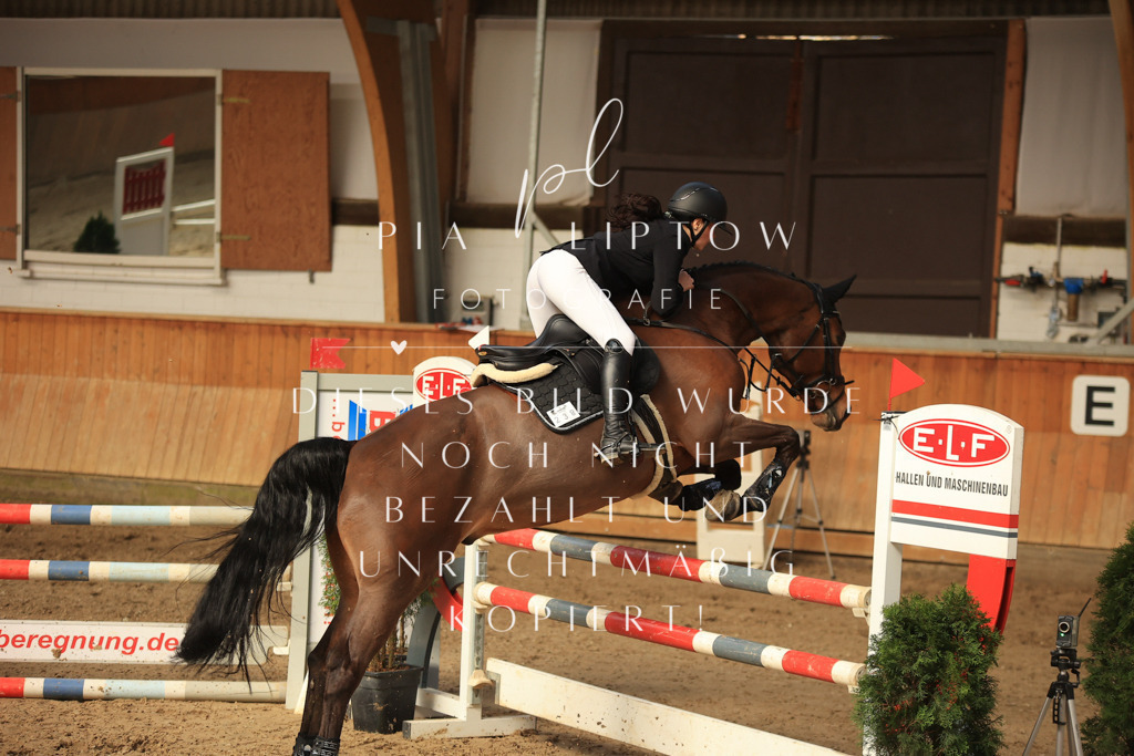 IMGT5918 | pl-fotografie