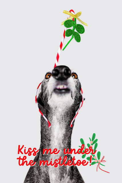 Nicos Mistelzweig | "Kiss me under the mistletoe!"