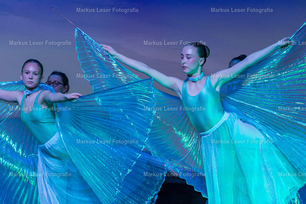 mlBallettFr-7806 | Markus Leser Fotografie - Realisiert mit Pictrs.com