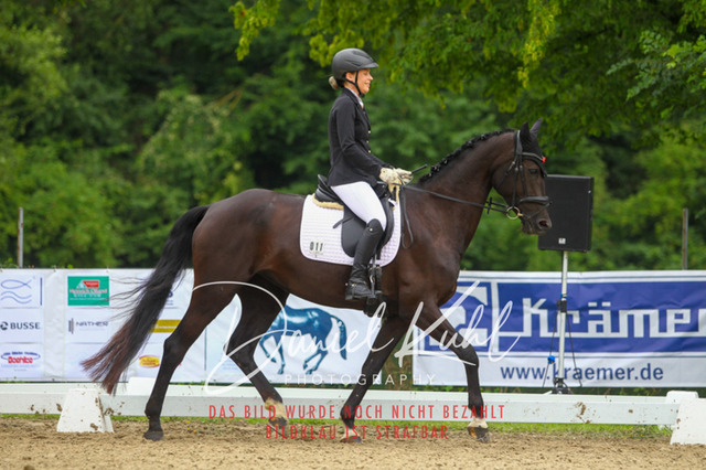 DKP40421 | Turniersportfotografie; Pferdefotografie; Dressurfotografie