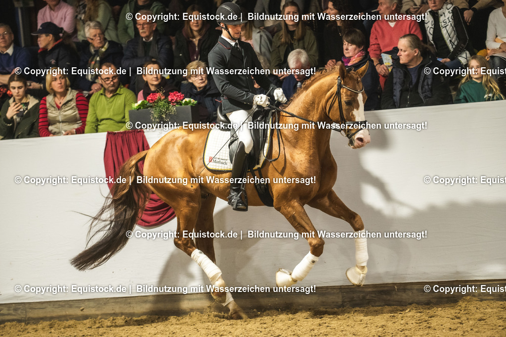 20240302_Hengstvorstellung_Marbach_TOMsPiC_0534-2 | equistock