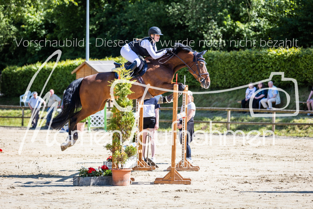 Donop24-M-Spr-086 | MomenTaufnahmen Pferdesportfotos