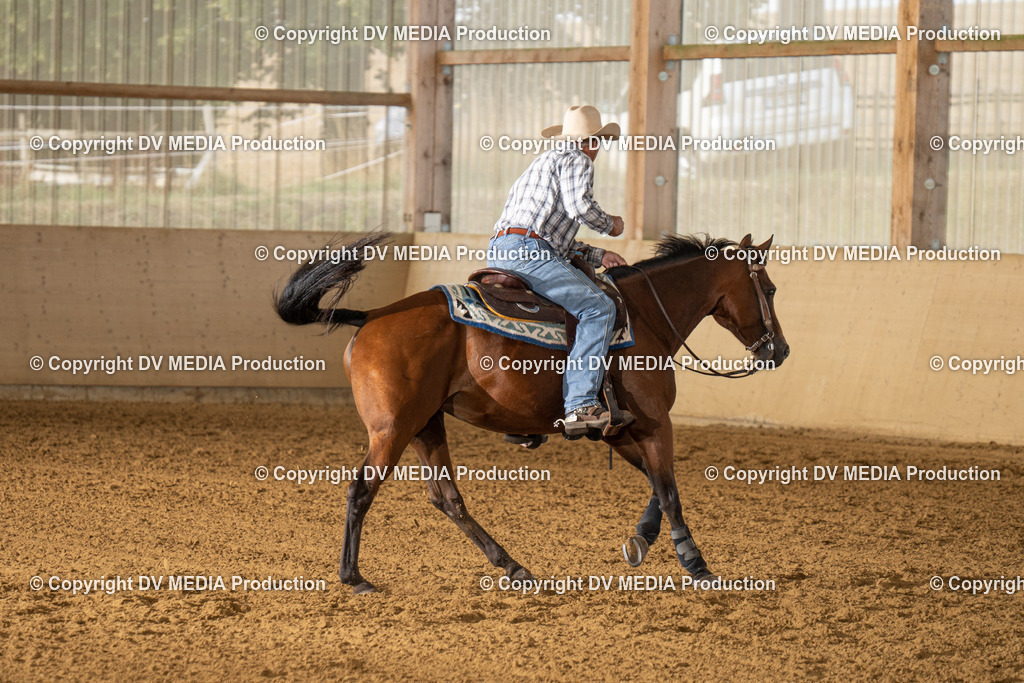 LAU01457 | dv-media-shop - Realisiert mit Pictrs.com