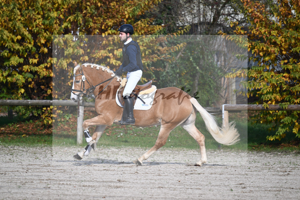 Kat-Nr. 4 Eichhofs Antares_Heule_44240866 | hf-fotografie - Realisiert mit Pictrs.com