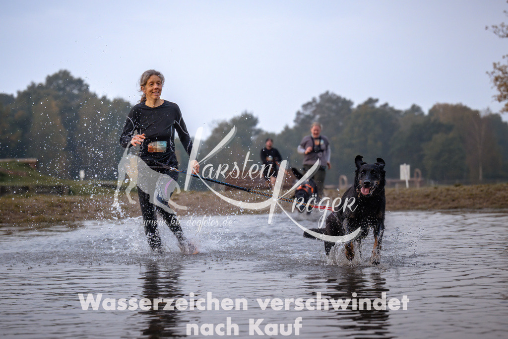 0817_ZZ91075 | kk-dogfotos