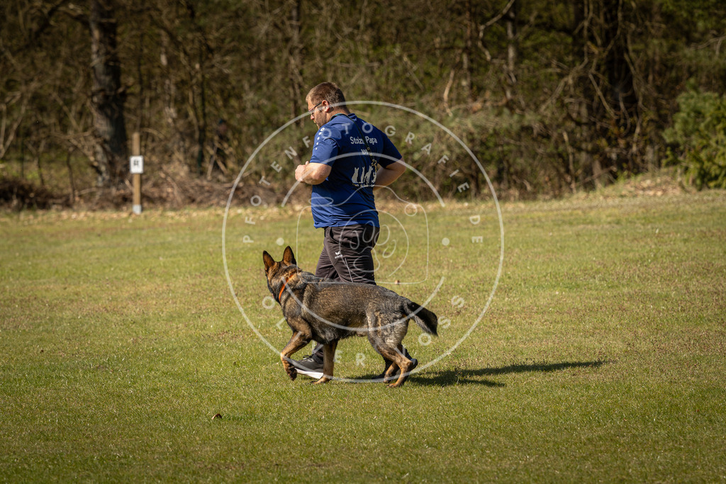 Pfotenfotografie_DV3A0826 | Hundefotografie, Tierfotograf, Pfotenfotografie, Fotoshooting Hund, Hunde Portrait, Hundesport, Hundeportraits, Heideshooting, Hunde, Sportfotograf, Hundefotograf, Turnierhundsport, THS,  - Realisiert mit Pictrs.com