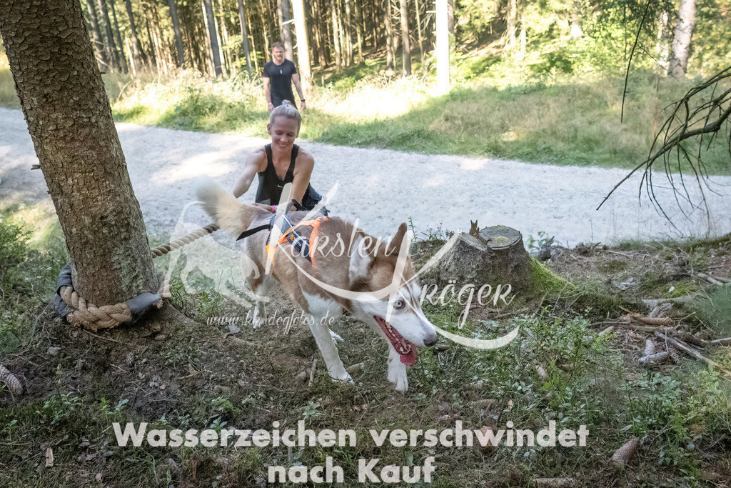1156_ZZ92723 | kk-dogfotos