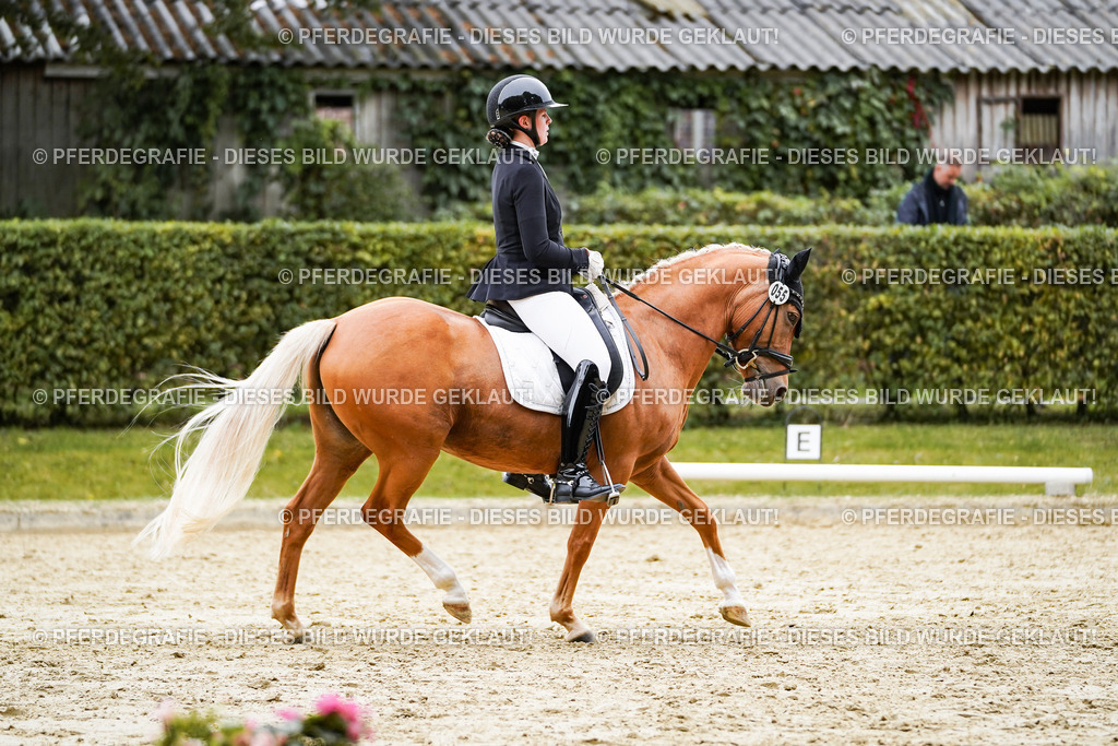 DSC08706 | Pferdegrafie