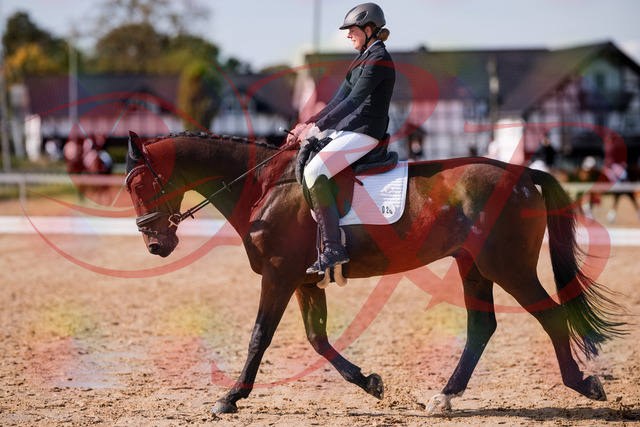 2026_10_03_Siefer-Hof_130212_Z81_55447685 | Professionelle Reitsport-, Turnier- und Eventfotografie von Robert Broda. Galerien mit ausgewählten und bearbeiteten Bildern direkt online ansehen und bestellen.