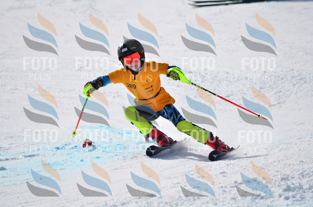 C8685 | holidayphoto