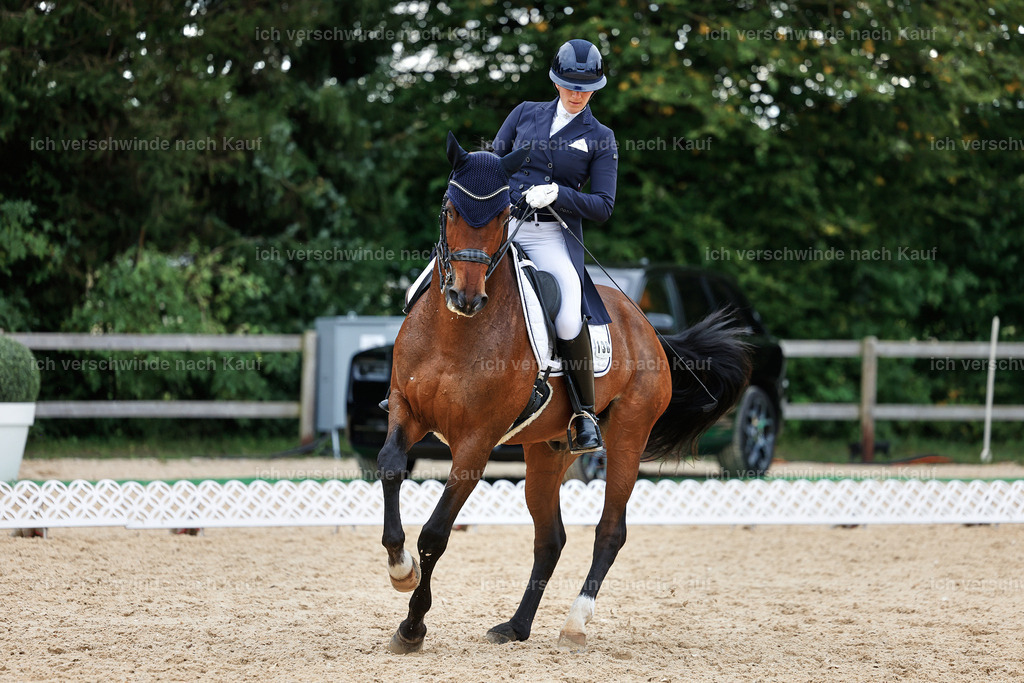 11-036-Dressur S___-StoibPH-1438 | working equitationturnier fotograf videograf stoibphotography marixx film working equitation deutschland reitsport turnierfotografie eventfotografie equestrian events